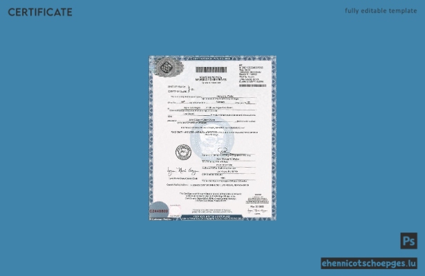 US-amerikanische Nevada-Heiratsurkunde im PSD-Format – Beispielvorschau